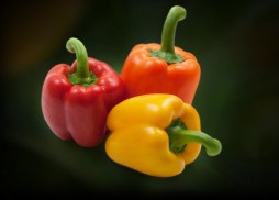 main_peppers