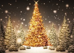Christmas-Tree-HD-Wallpapers-2